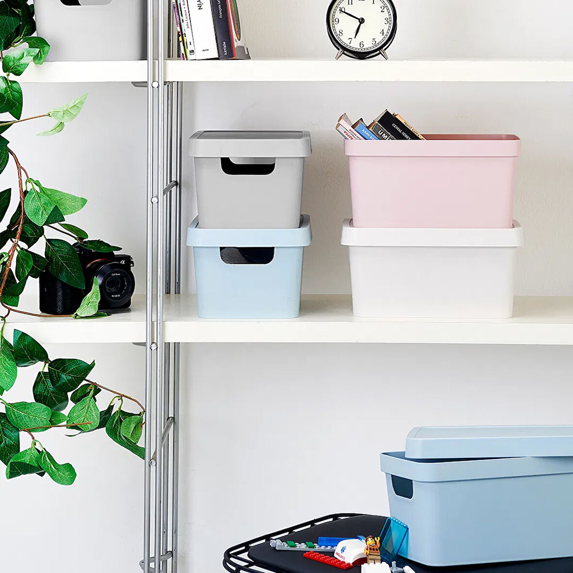 Vinto Kapaklı Kutu - Asorti - 3,6 lt