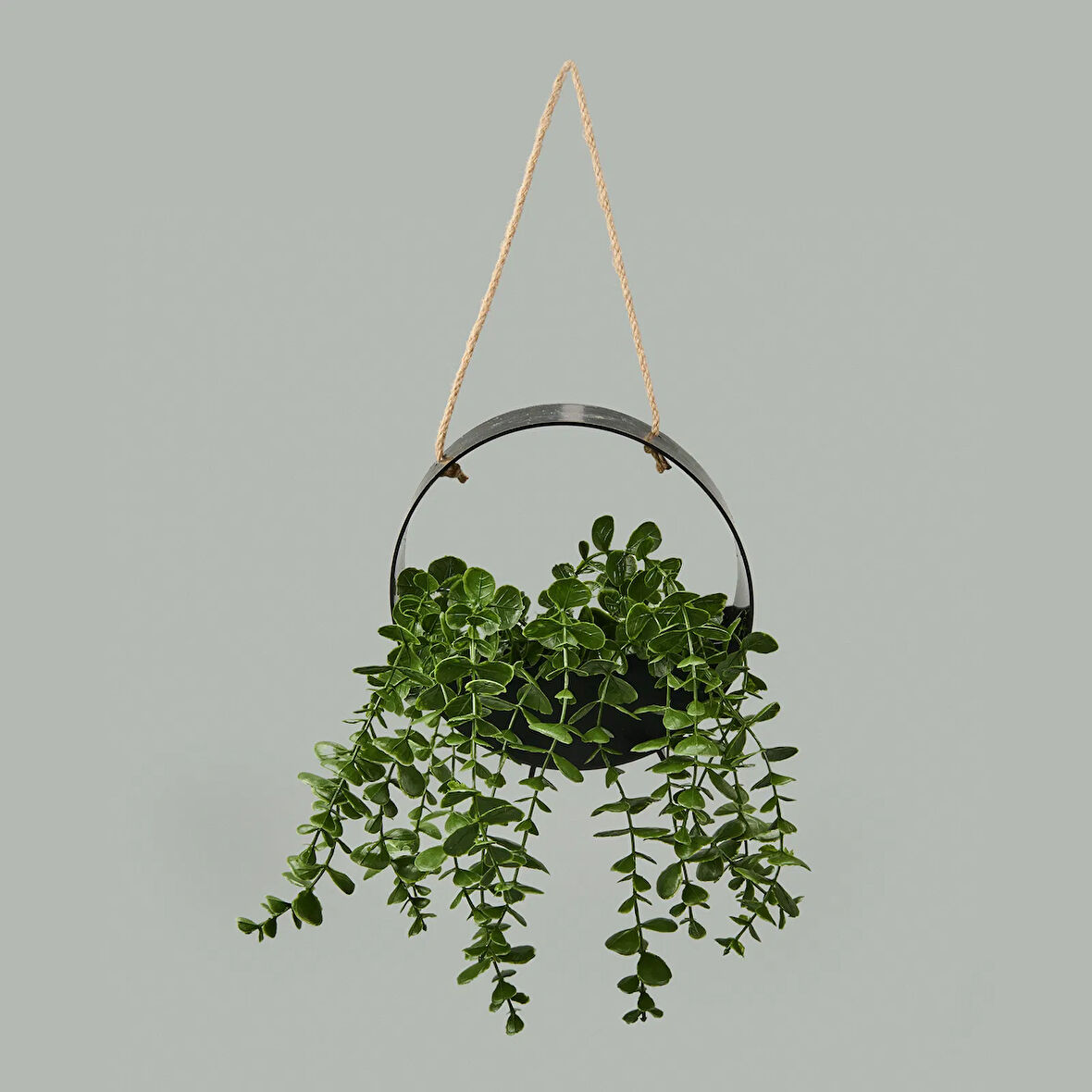 Dekor Yapay Okaliptus - Asorti - 50x20 cm