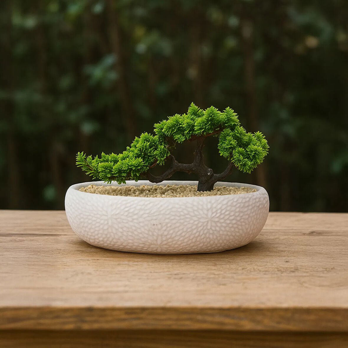 Desenli Elips Saksıda Bonsai - Renkli - 24x33 cm