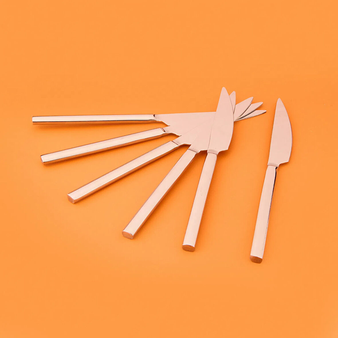 6'lı Yemek Bıçağı - Gri