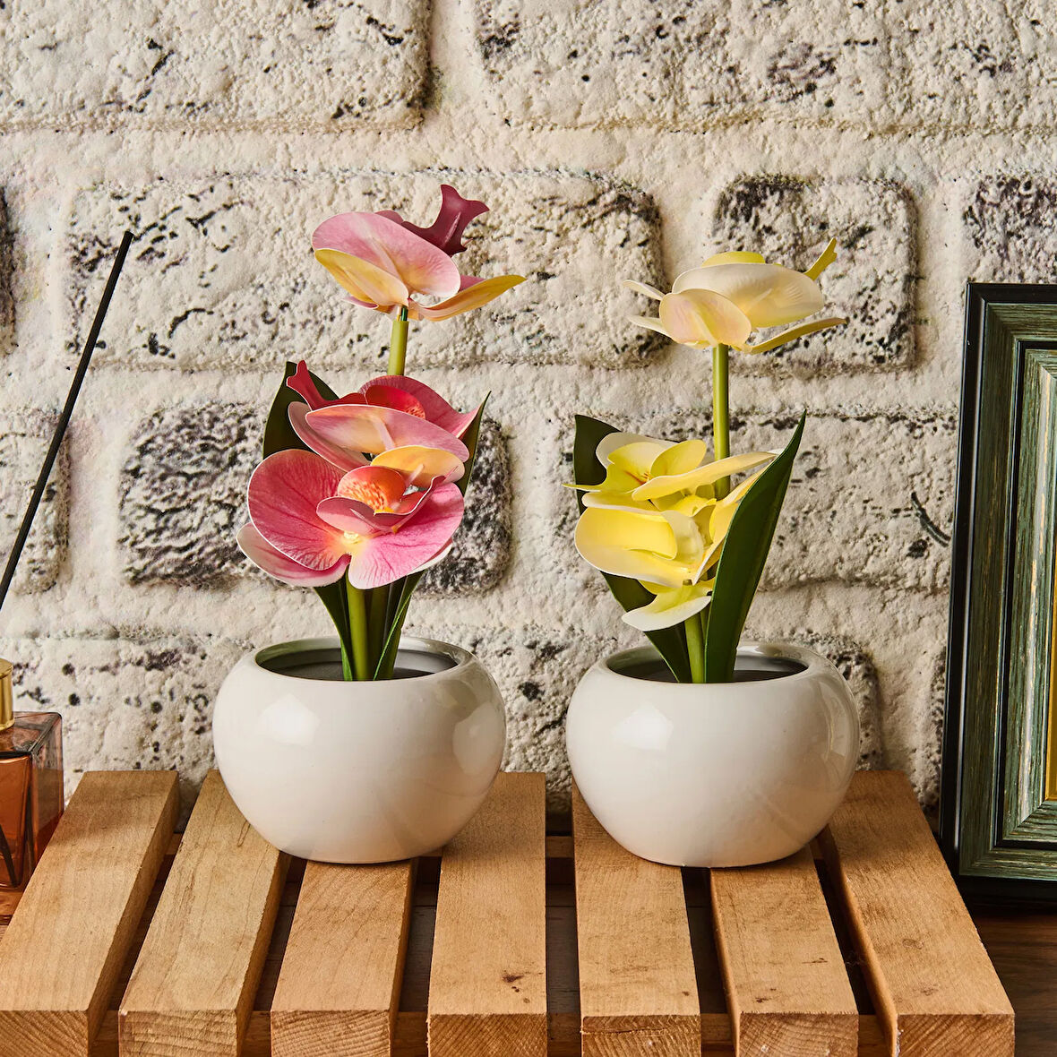 Saksıda Ledli Orkide - Asorti - 25x9 cm