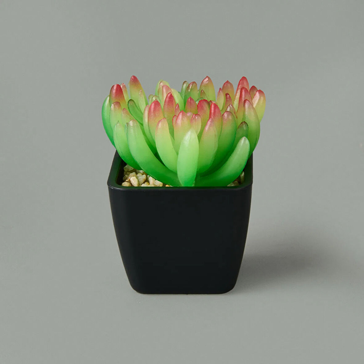 Mini Saksıda Yapay Çiçek - Asorti - 11x5 cm