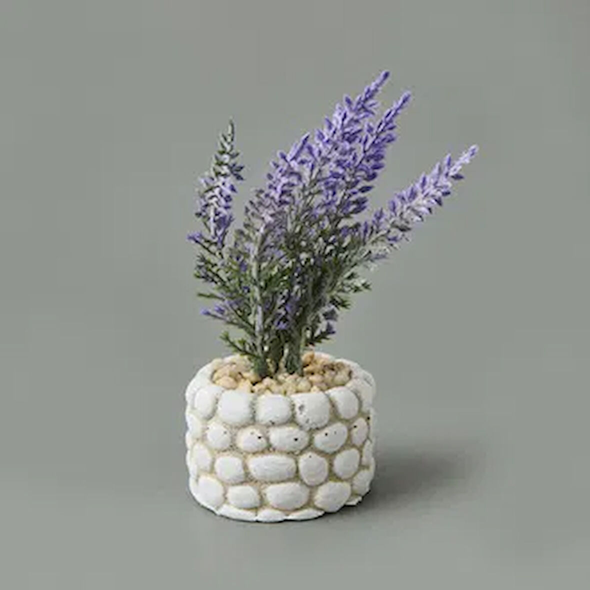 Mini Saksıda Lavanta - Asorti - 10x5x5 cm