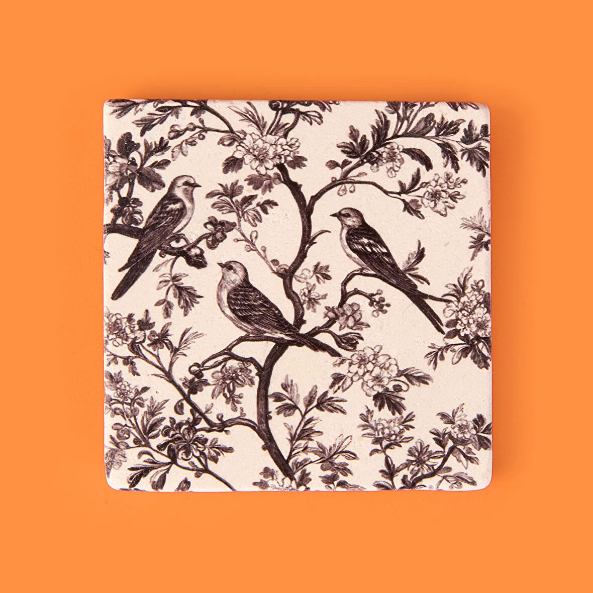 Kitchen Kuşlar Taş Bardak Altlığı - Renkli - 10x10 cm