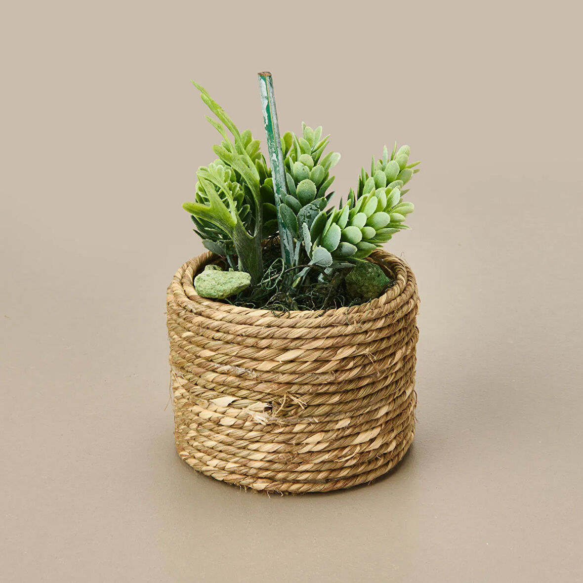 Natürel Çiçek - Asorti - 15 cm