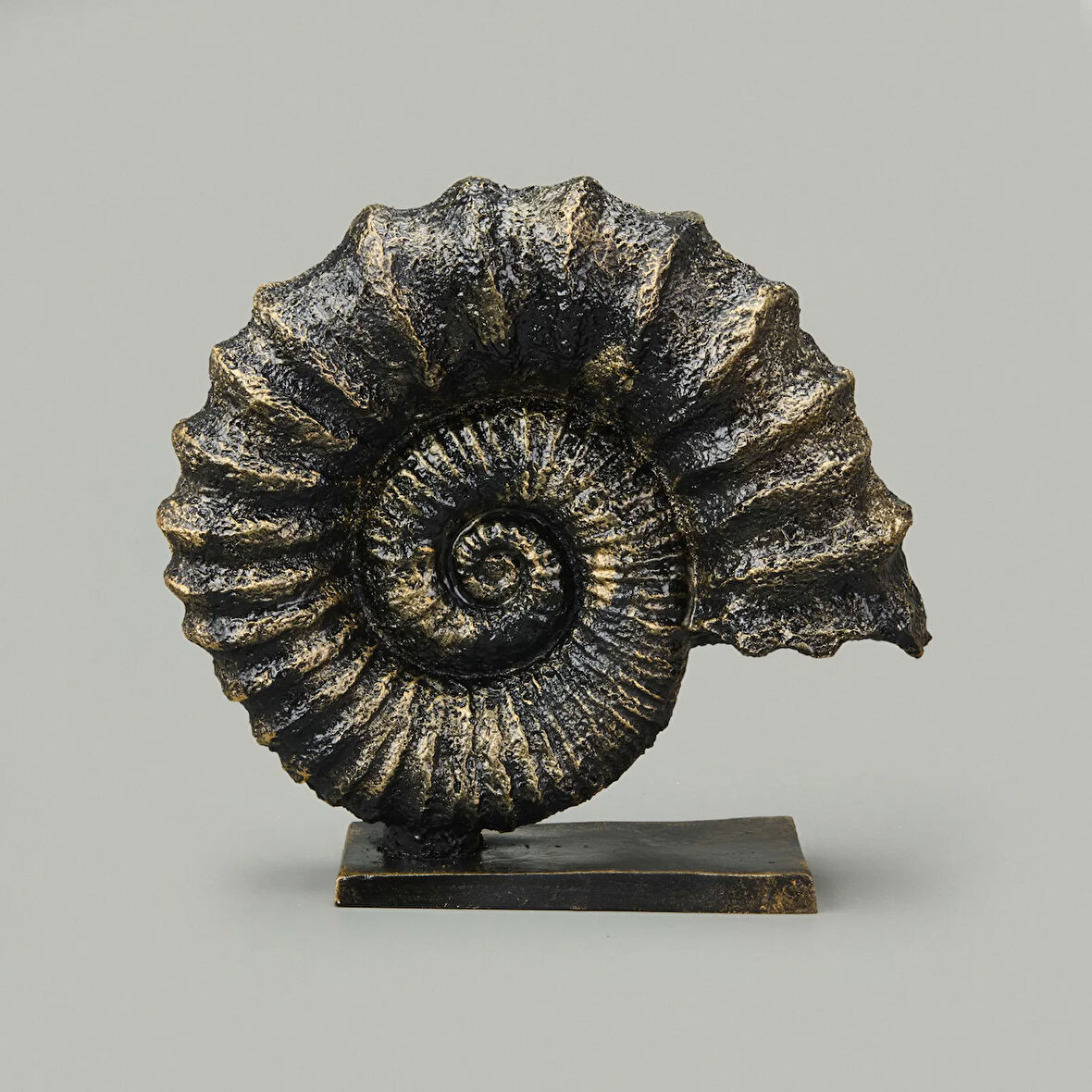 Deco Deniz Kabuğu Dekor - Gold / Siyah - 30 cm