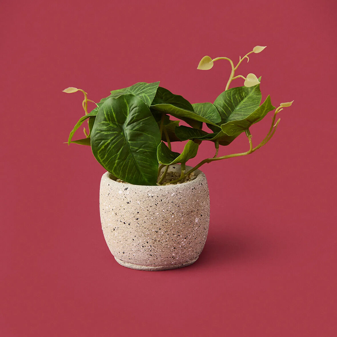 Saksıda Yapraklar - Asorti - 20x9x9 cm