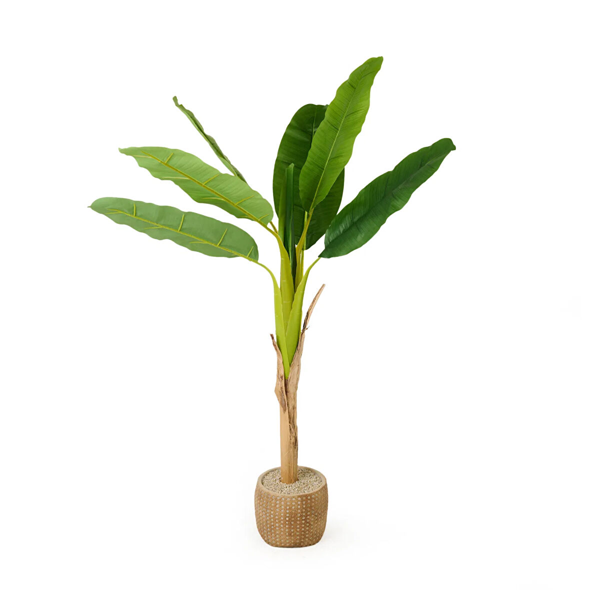 Hasır Efekt Saksıda Muz Ağacı - Renkli - 130 cm