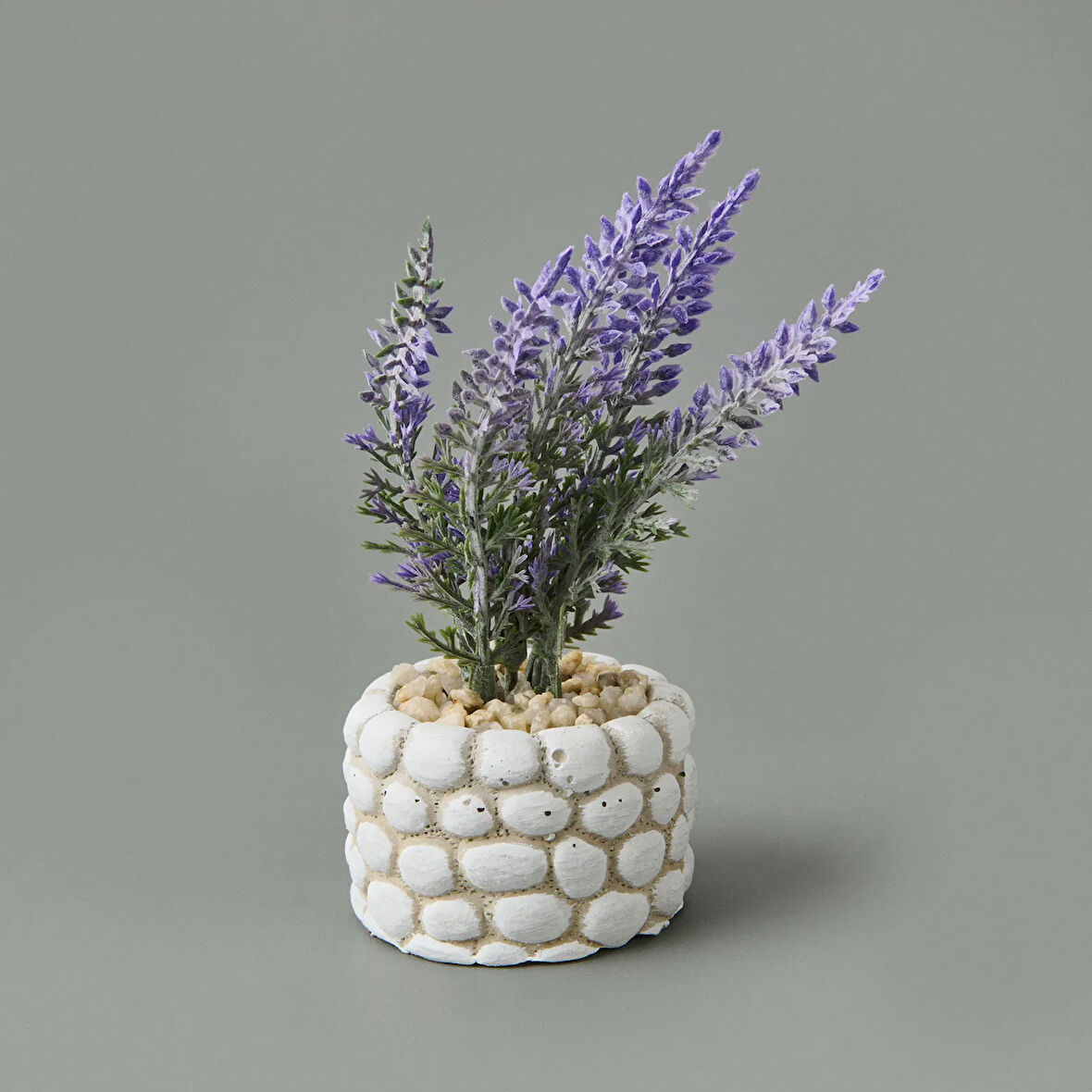 Mini Saksıda Lavanta - Asorti - 10x5x5 cm