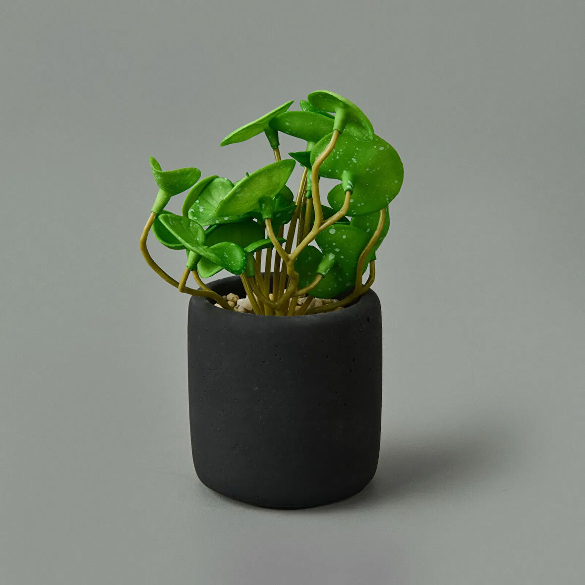 Mini Pot Soft Yaprak Saksılı Çiçek - Asorti - 8x6x6 cm