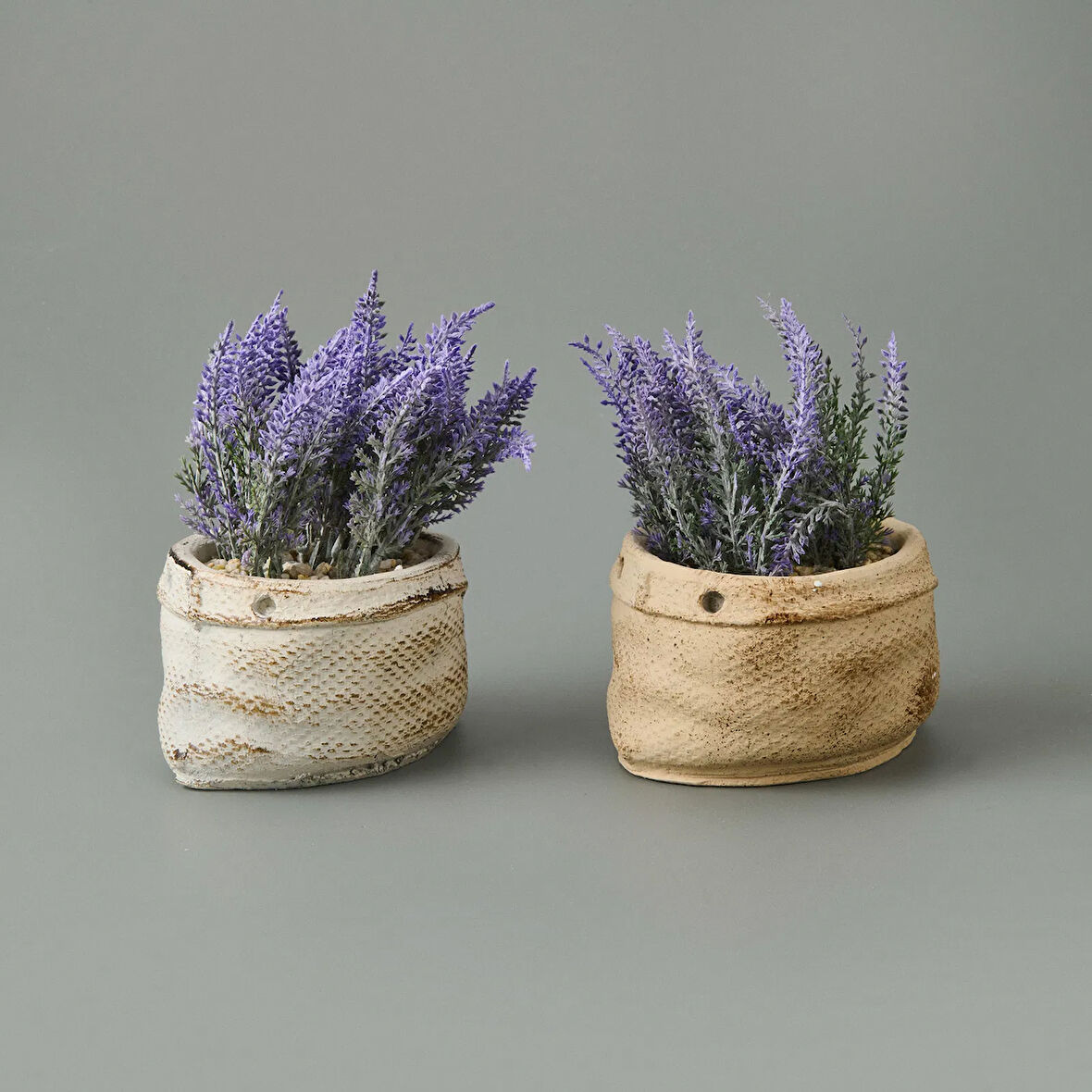 Çuval Saksıda Kır Lavantası - Asorti - 13x9x9 cm