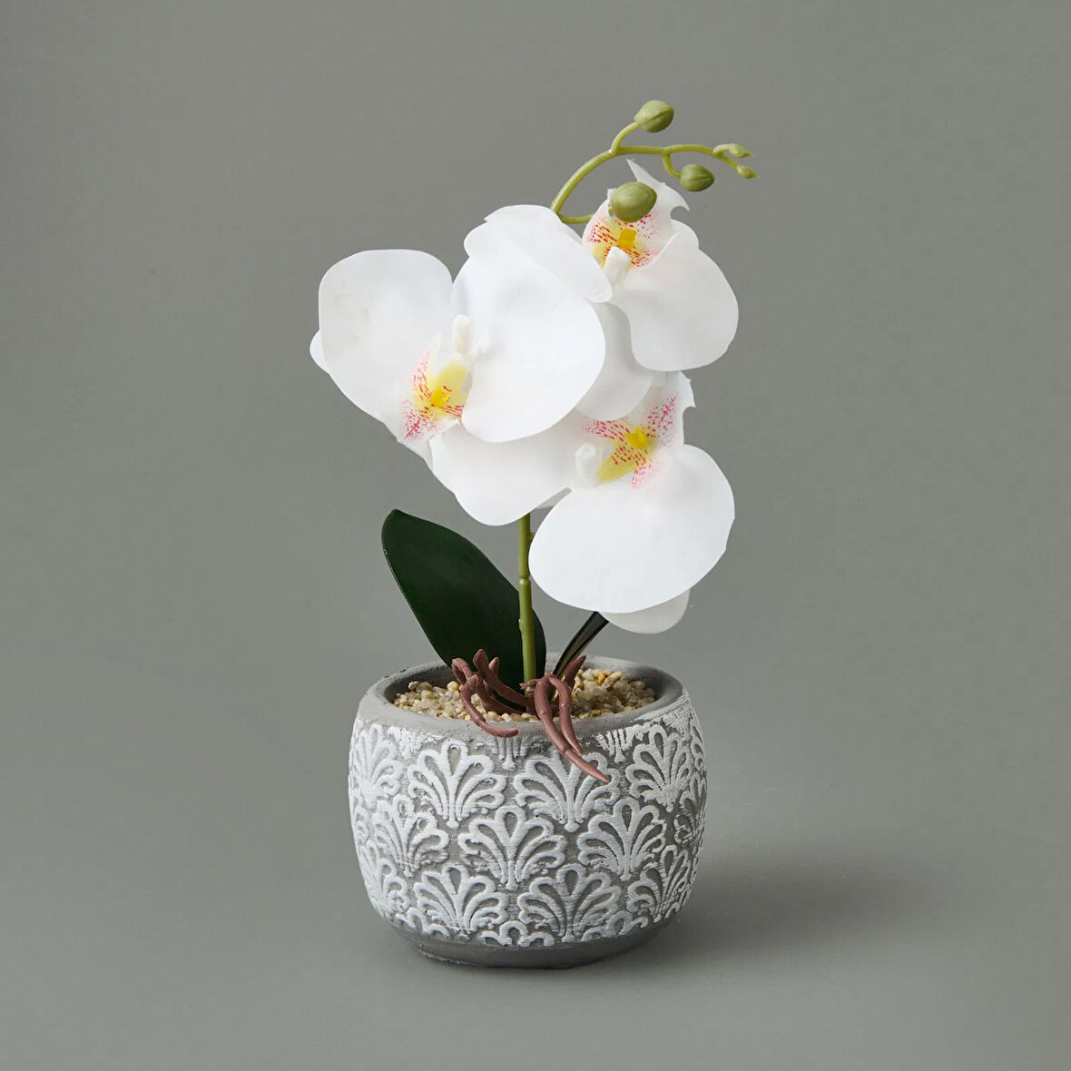 Etnik Desenli Beton Saksı Real Touch Orkide - Asorti - 28x12x12 cm