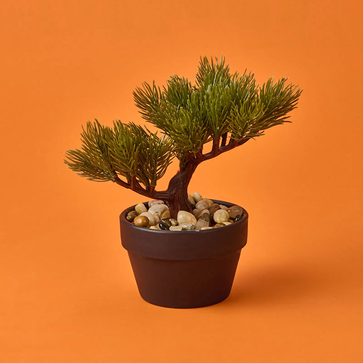 Bonsai Çiçek - Asorti - 19 cm