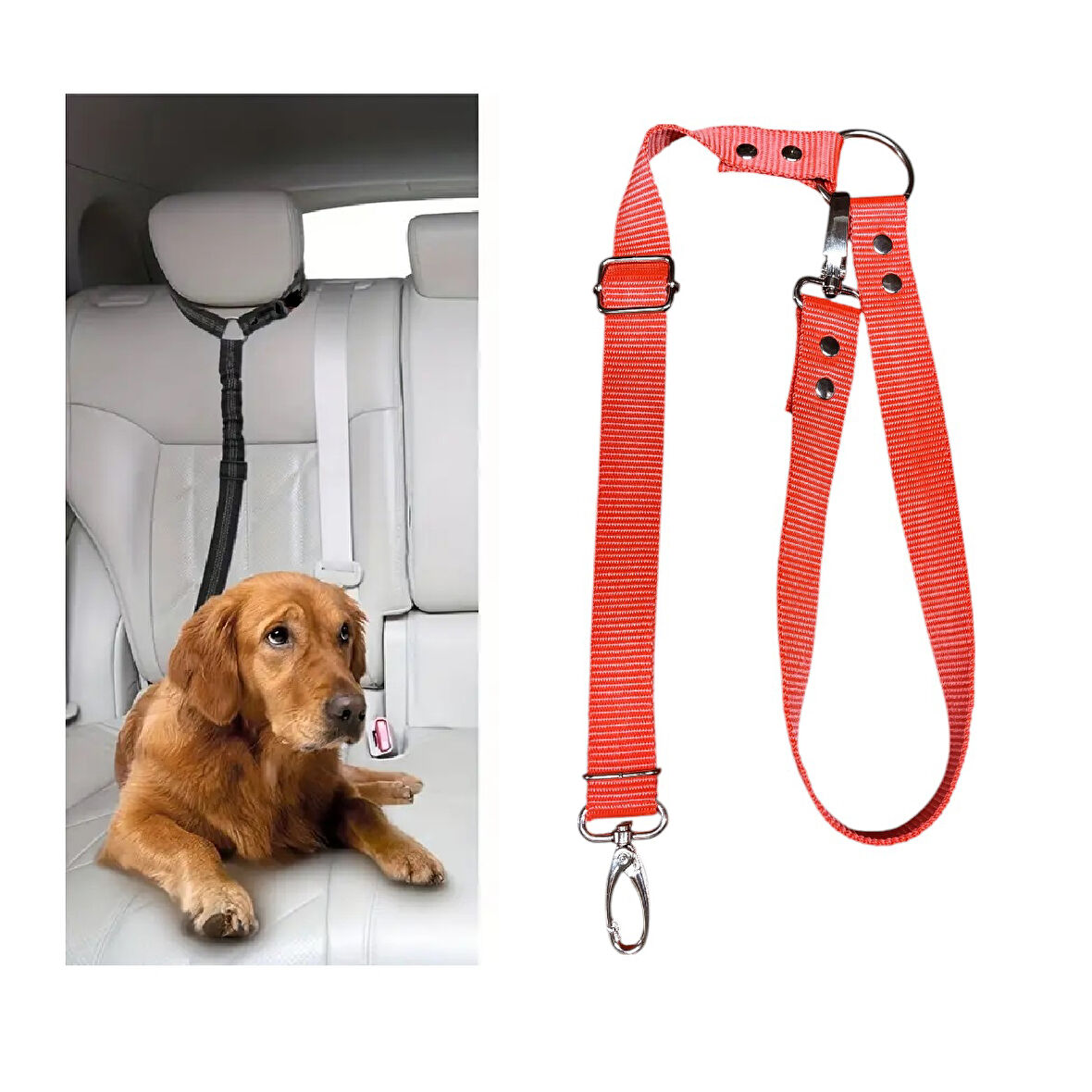 Köpek Kedi Araç Tasması