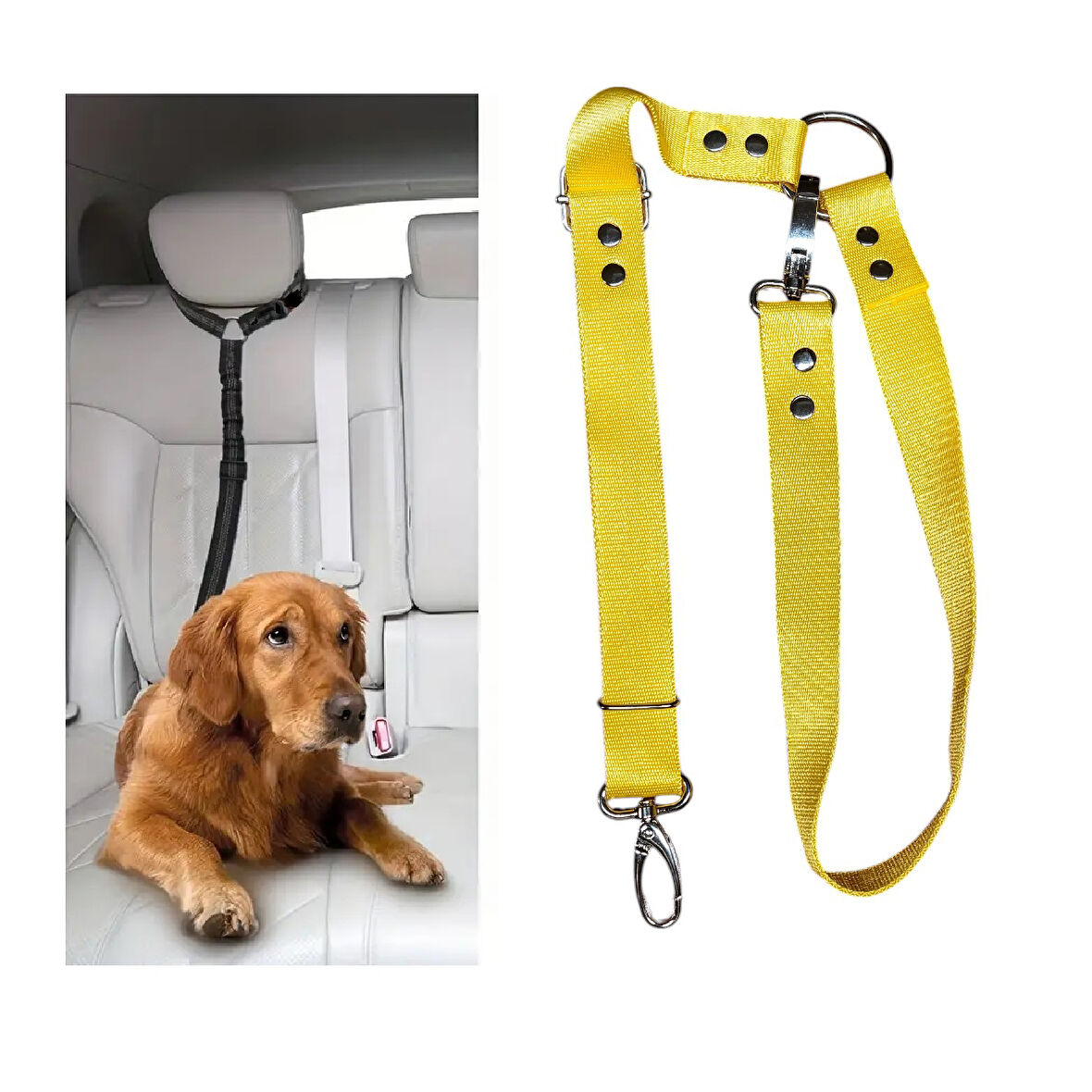 Köpek Kedi Araç Tasması