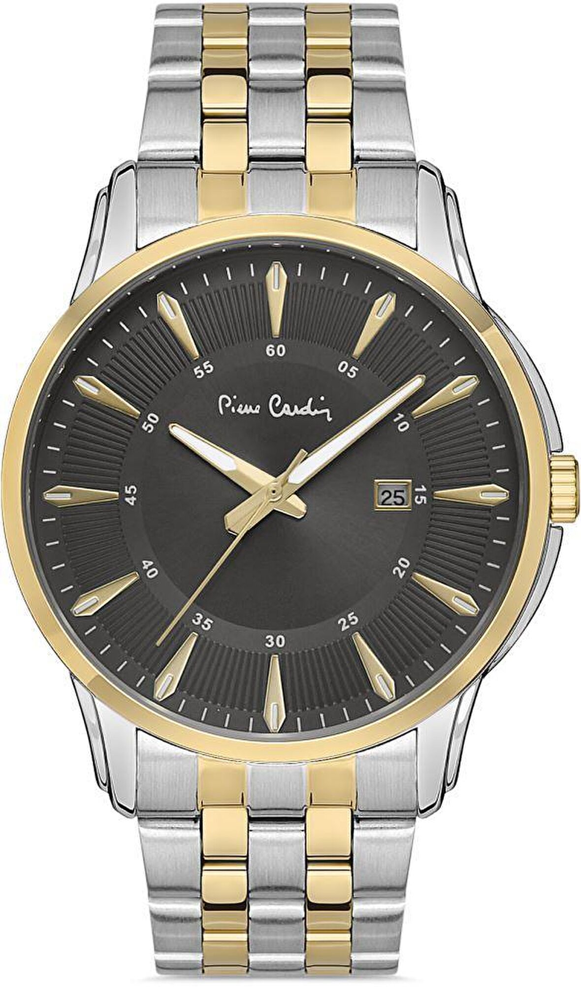 Pierre Cardin PC800211F105 Erkek Kol Saati