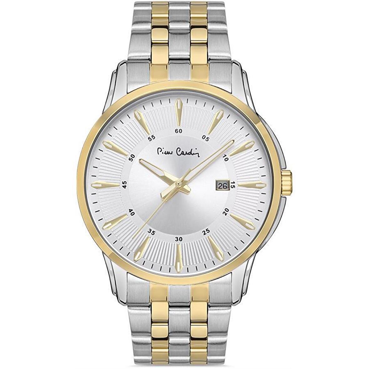 Pierre Cardin PC800211F106 Erkek Kol Saati
