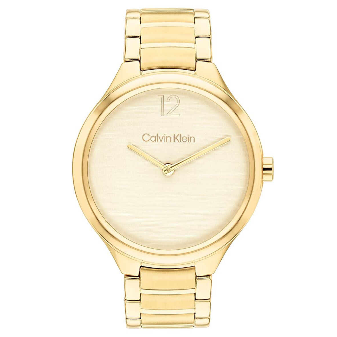 Calvin Klein CK25100048 Kadın Kol Saati