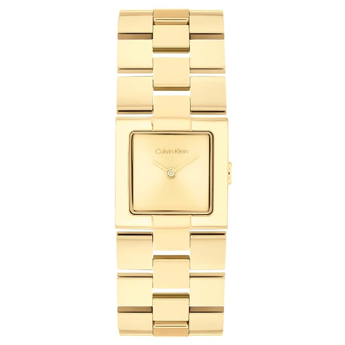 CALVIN KLEIN CK25100089 KADIN KOL SAATİ