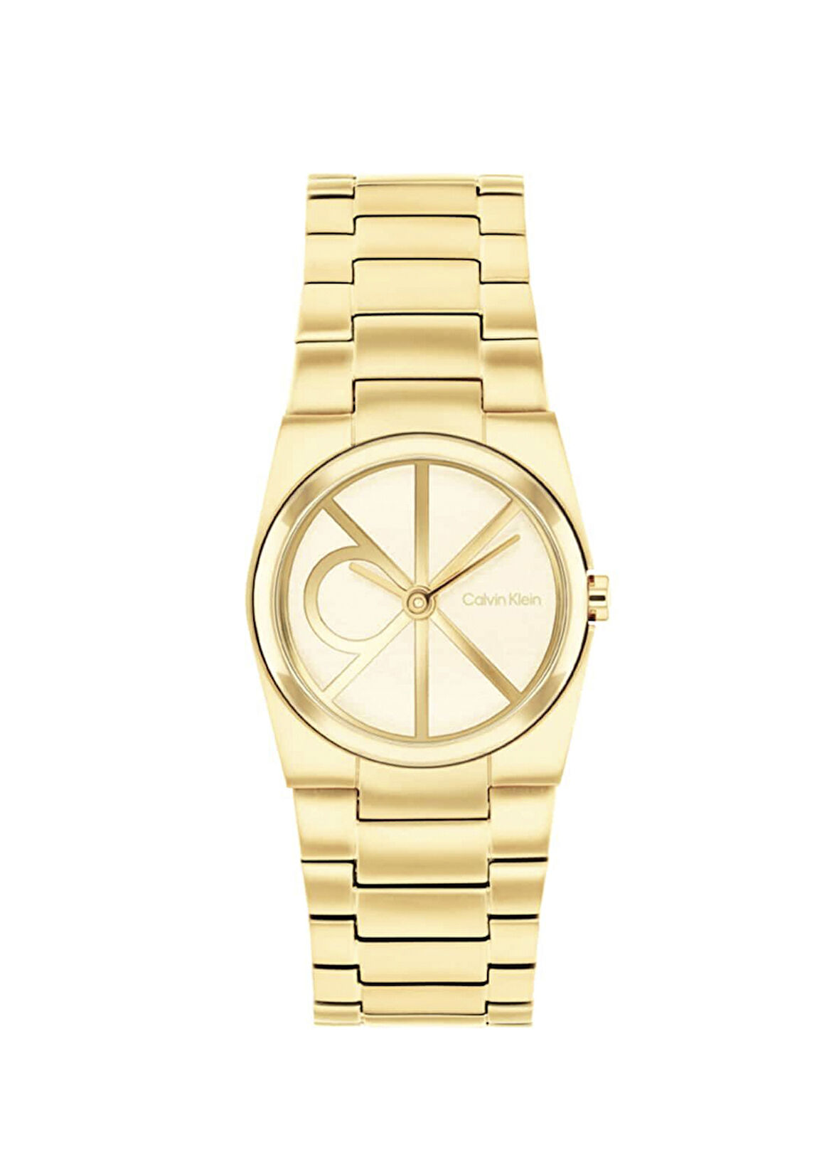Calvin Klein CK25100127  Kadın Kol Saati