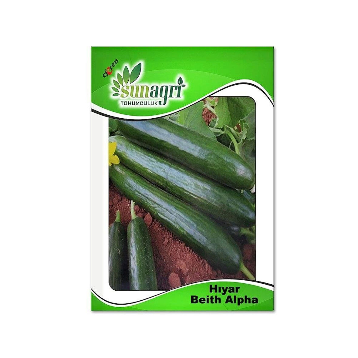 Sunagri Hıyar Beith Alpha Salatalık Tohumu 10Gr Paket