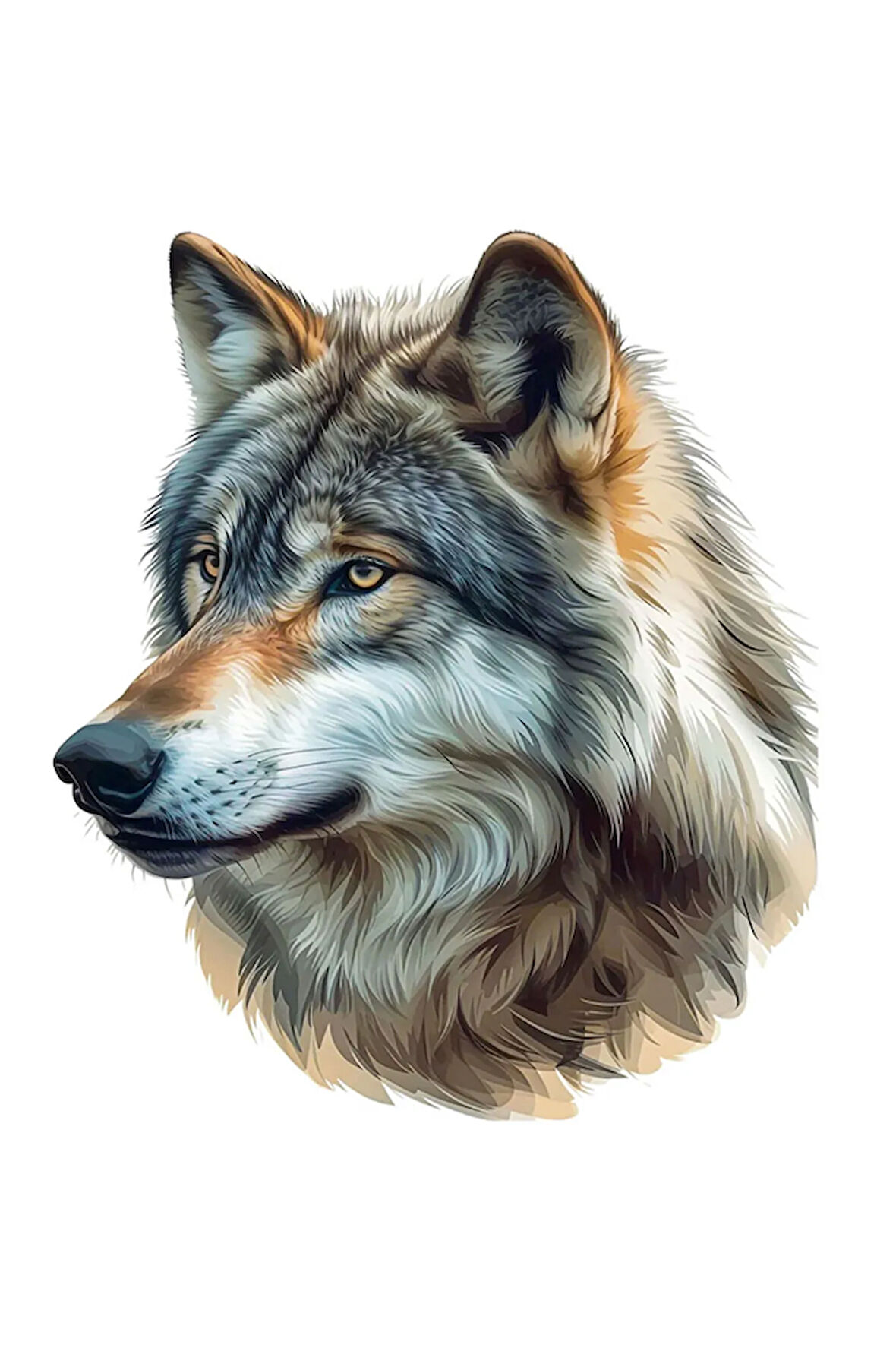 Gri Kurt Sticker Motor, AraçEtiket Araba StickeR 19CM