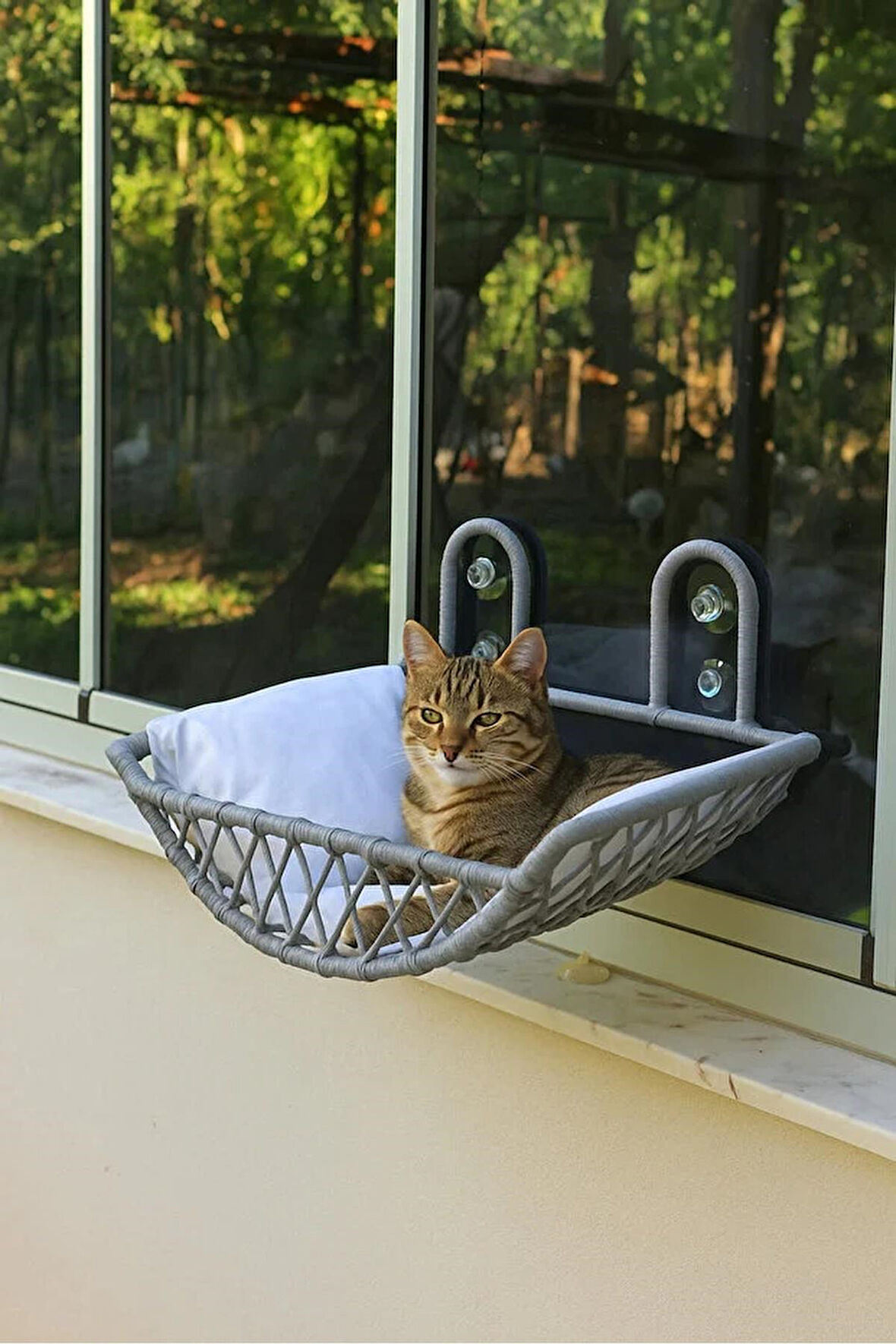 Reyo Tasaryum Kedi ve Köpek El Örgüsü Vantuzlu Cam Yatağı, Kedi Hamağı Puf Minderli Gri