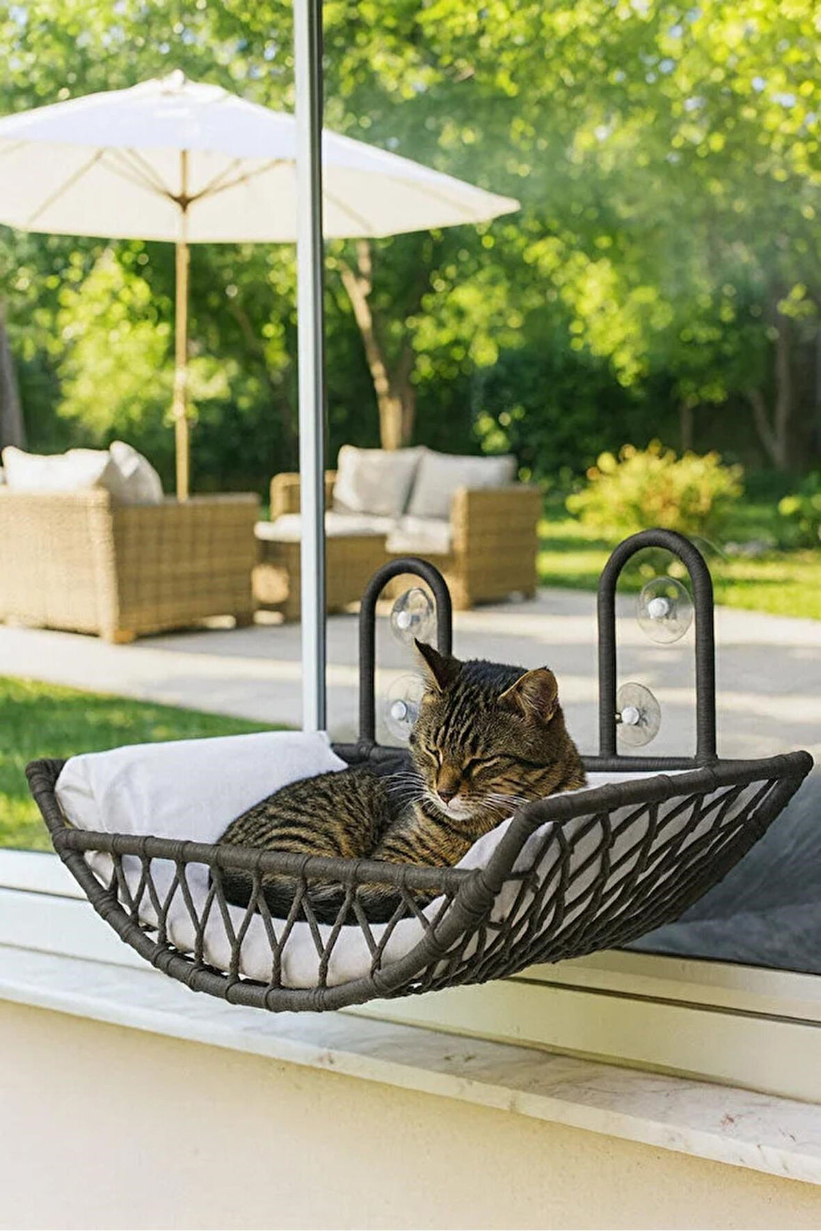 Reyo Tasaryum Kedi ve Köpek El Örgüsü Vantuzlu Cam Yatağı Kedi Hamağı Puf Minderli Antrasit