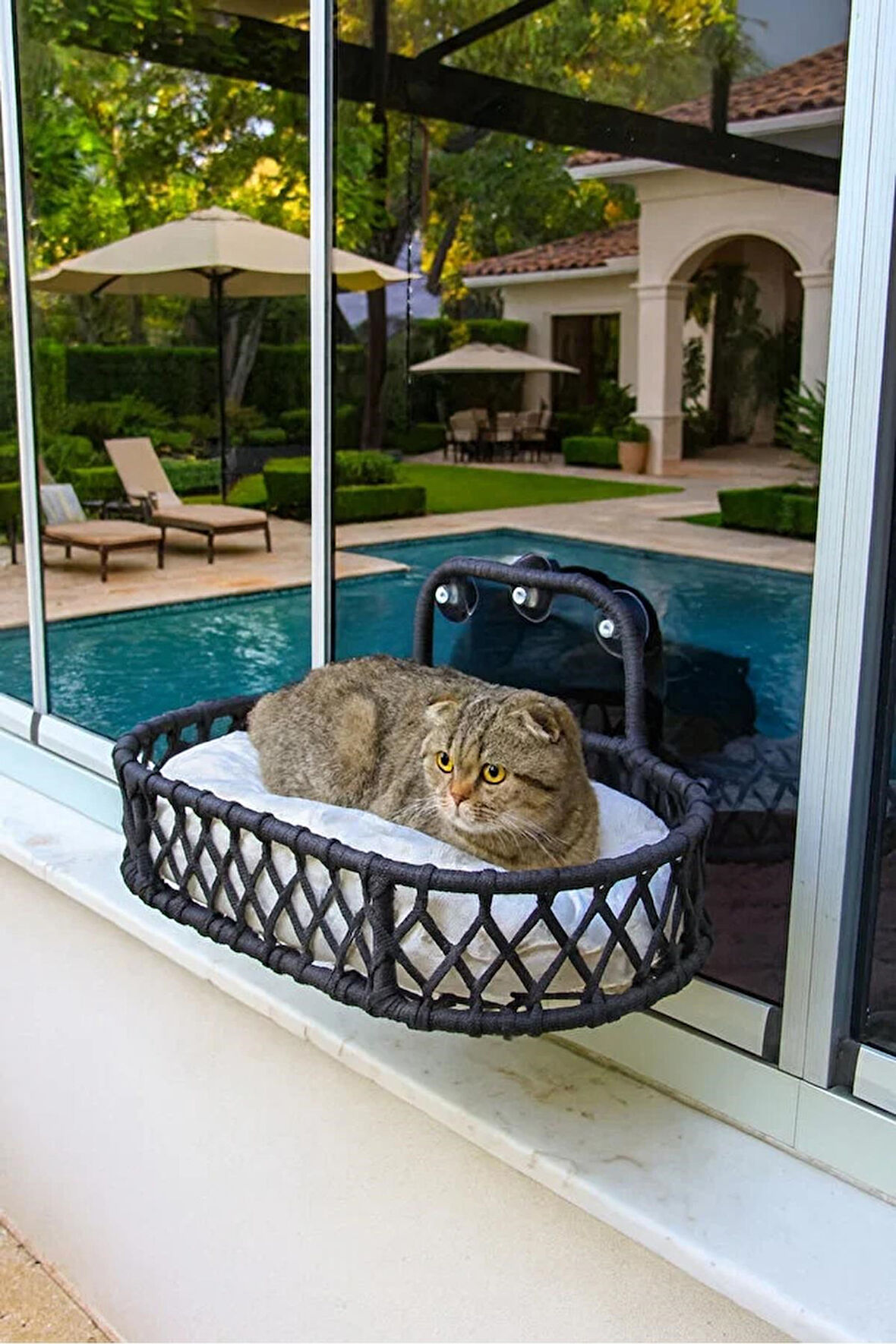 Reyo Tasaryum Kedi ve Köpek El Örgüsü Vantuzlu Cam Yatağı Kedi Hamağı Puf Minderli Antrasit