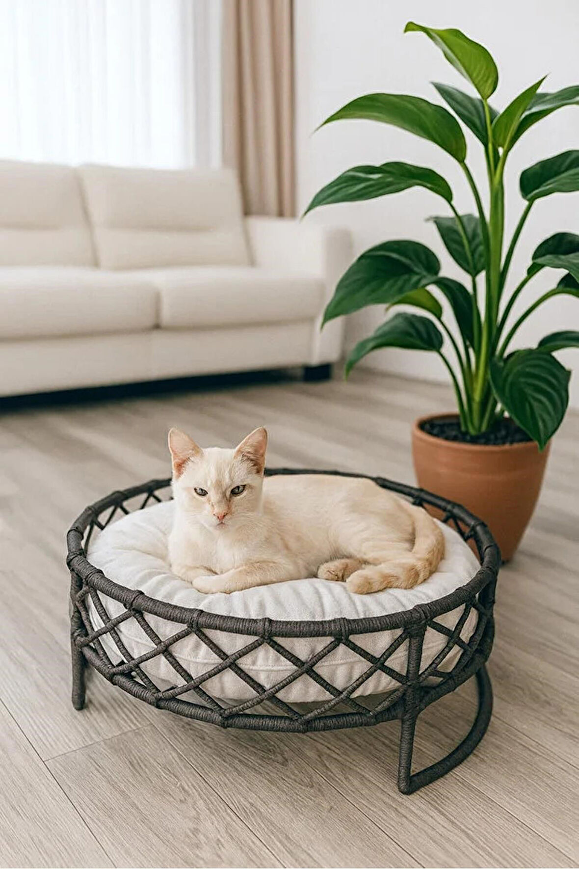 Reyo Tasaryum Kedi ve Köpek Evi El Örgüsü Yatağı Kedi Yuvası Antrasit