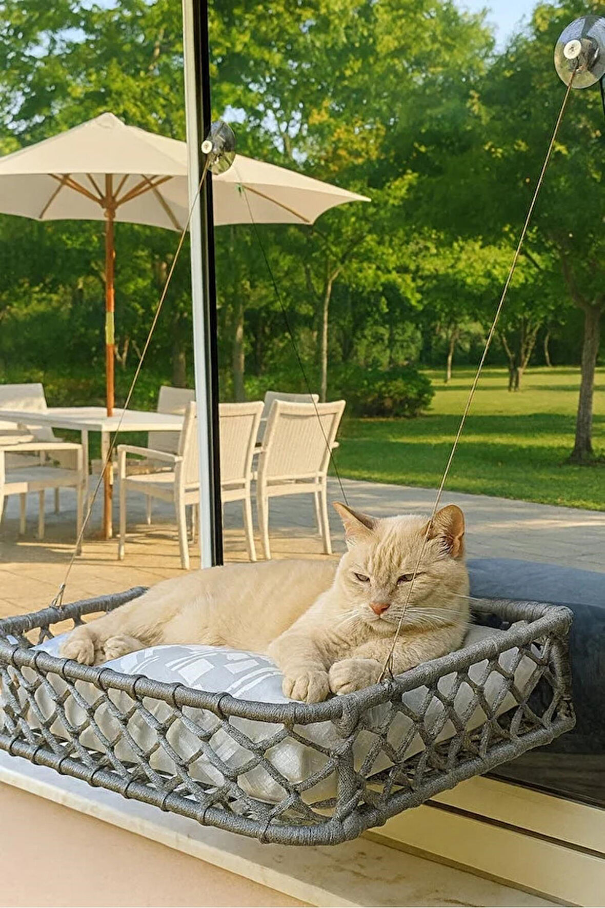 Reyo Tasaryum El Örgüsü Kedi ve Köpek Vantuzlu Cam Yatağı, Kedi Hamağı Puf Minderli Gri