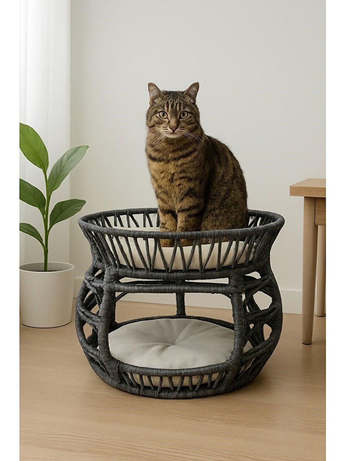 Reyo Pet Lüxperi Bombeli Kedi Ranzası 2 Katlı Kedi Yatağı Antrasit