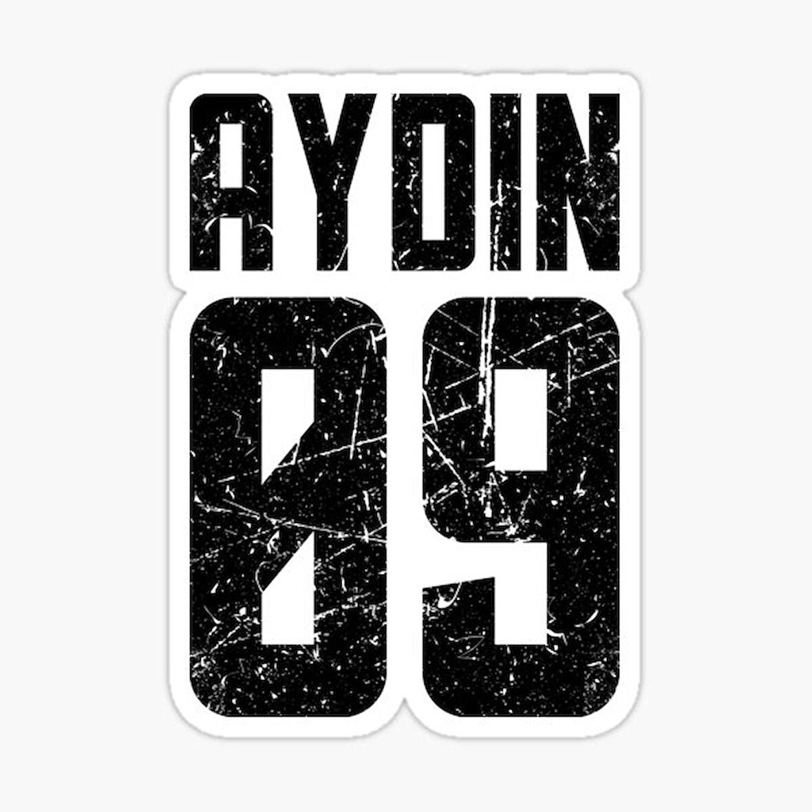 09 AYDIN Sticker Yapıştırma Oto Etiket 17cm