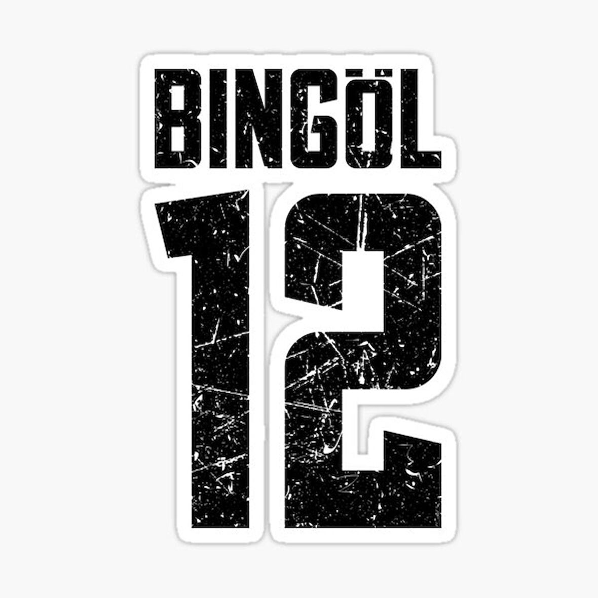 12 BİNGÖL Sticker Yapıştırma Oto Etiket 17cm