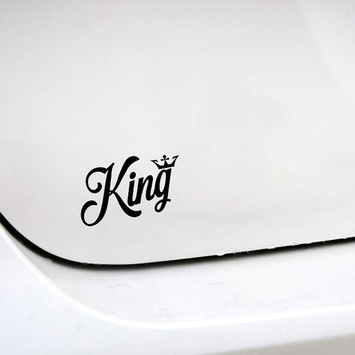 Aslan Araba Sticker Etiket Yapıştırması 17CM Kelebek Siyah