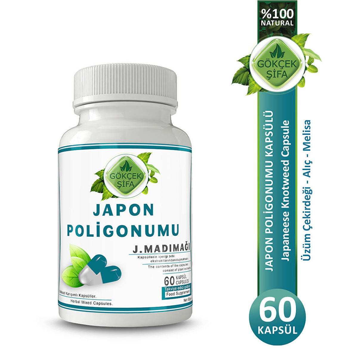 Japon Poligonumu Kapsül (JAPANESE POLYGON CAPSULE)