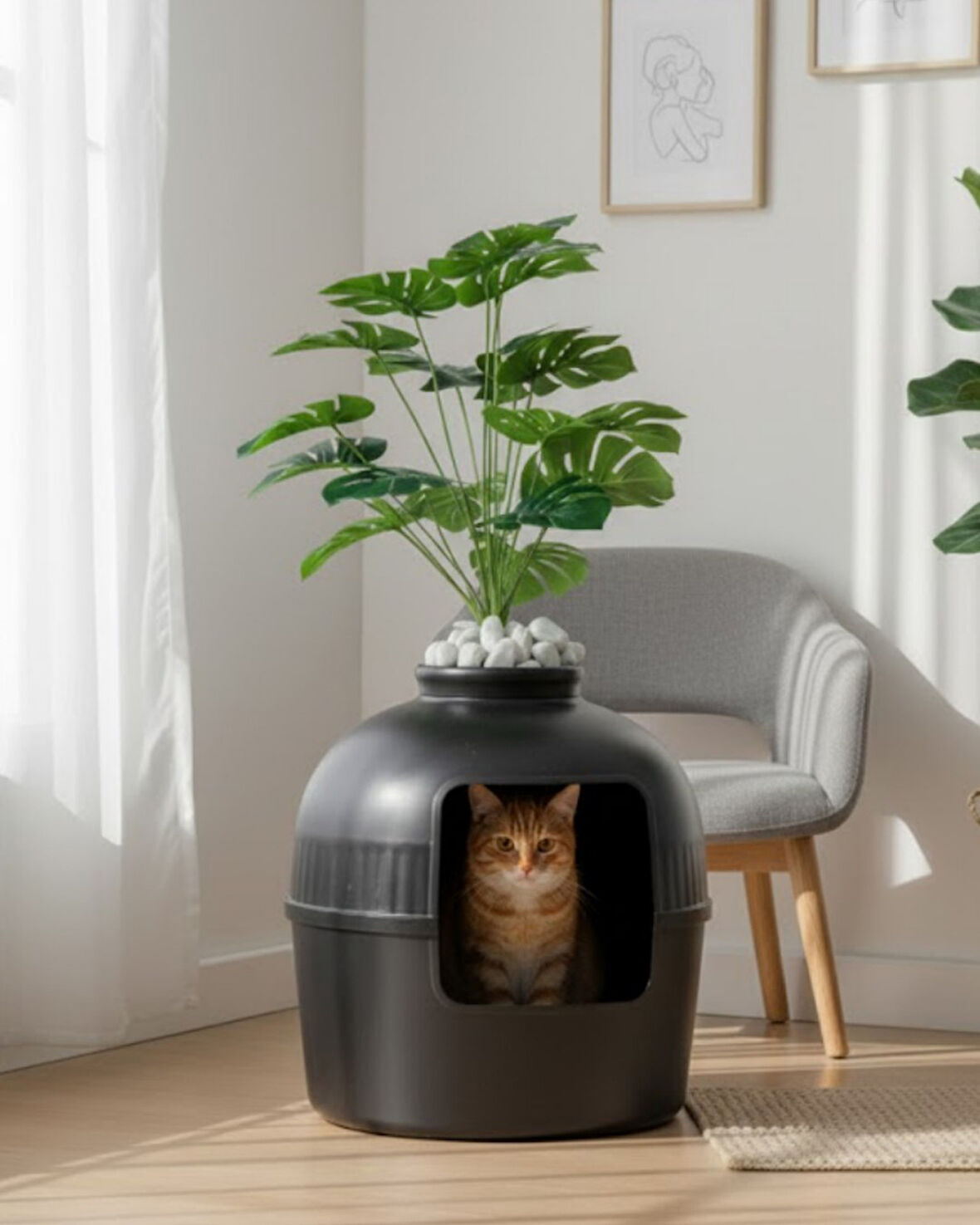 Reyo Dekorapet Dekoratif Kedi Tuvaleti Siyah