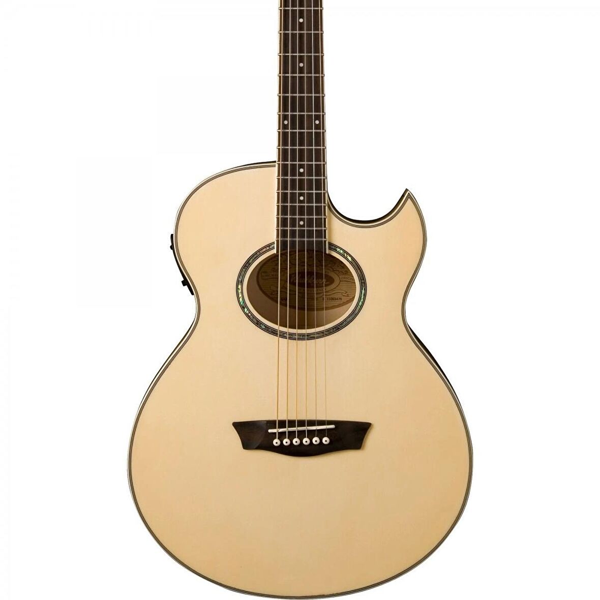 Washburn Ea20 Elektro Akustik Gitar