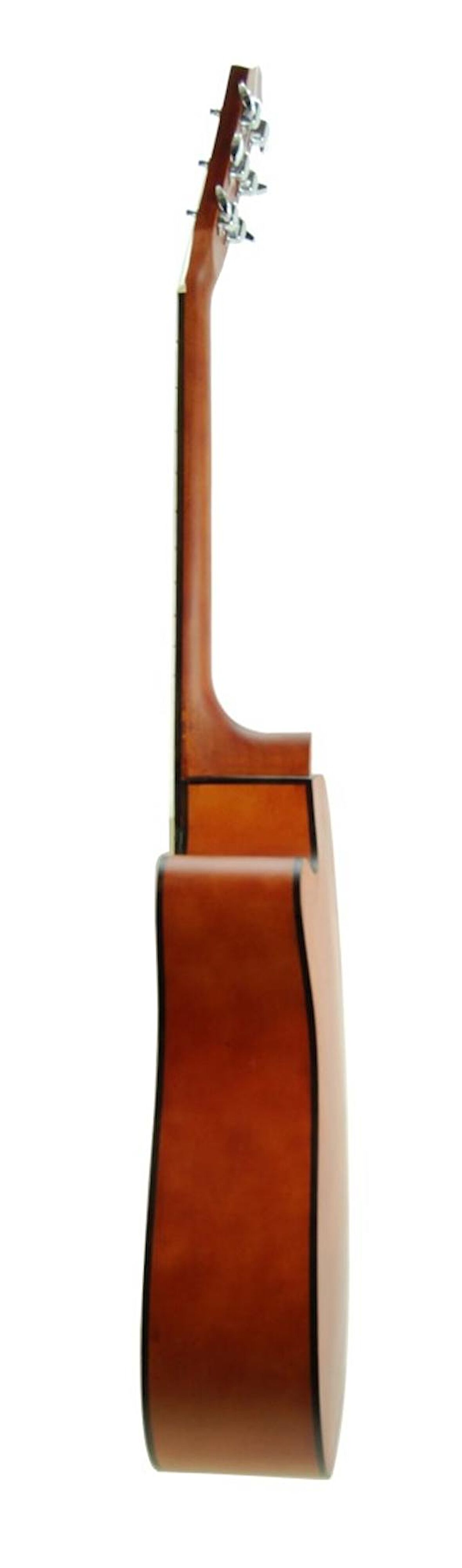 Gitar Akustik Cutaway Segovia SGA41N