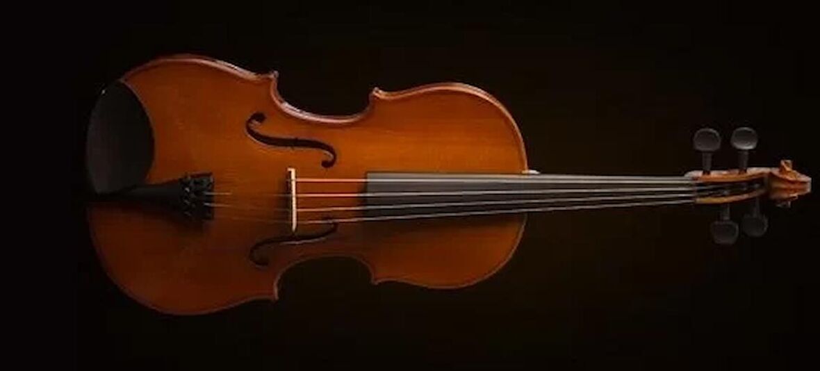 Valencıa Va16040 Viola Kutulu 15 5"(40cm)