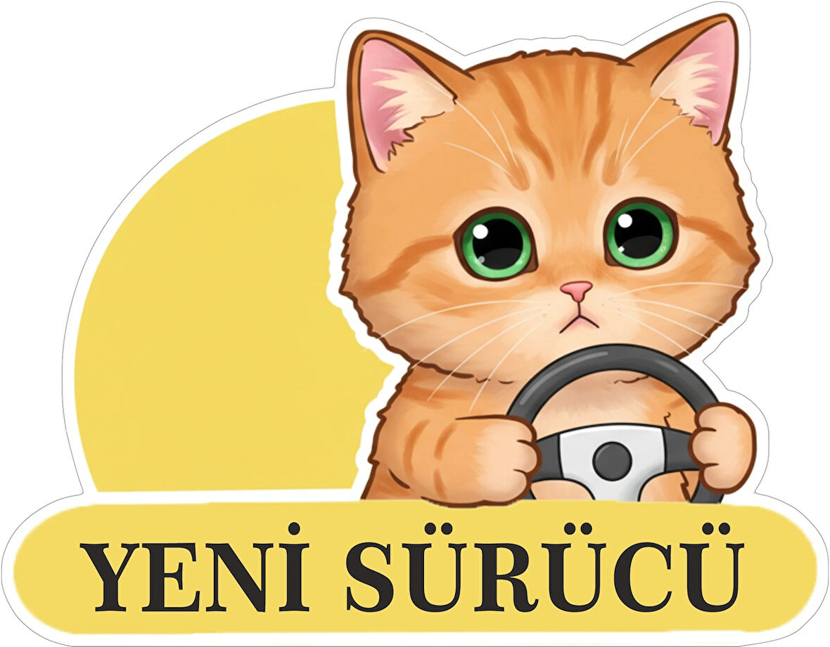 Yeni Sürücü Sevimli Kedi Araba Etiketi & Sticker