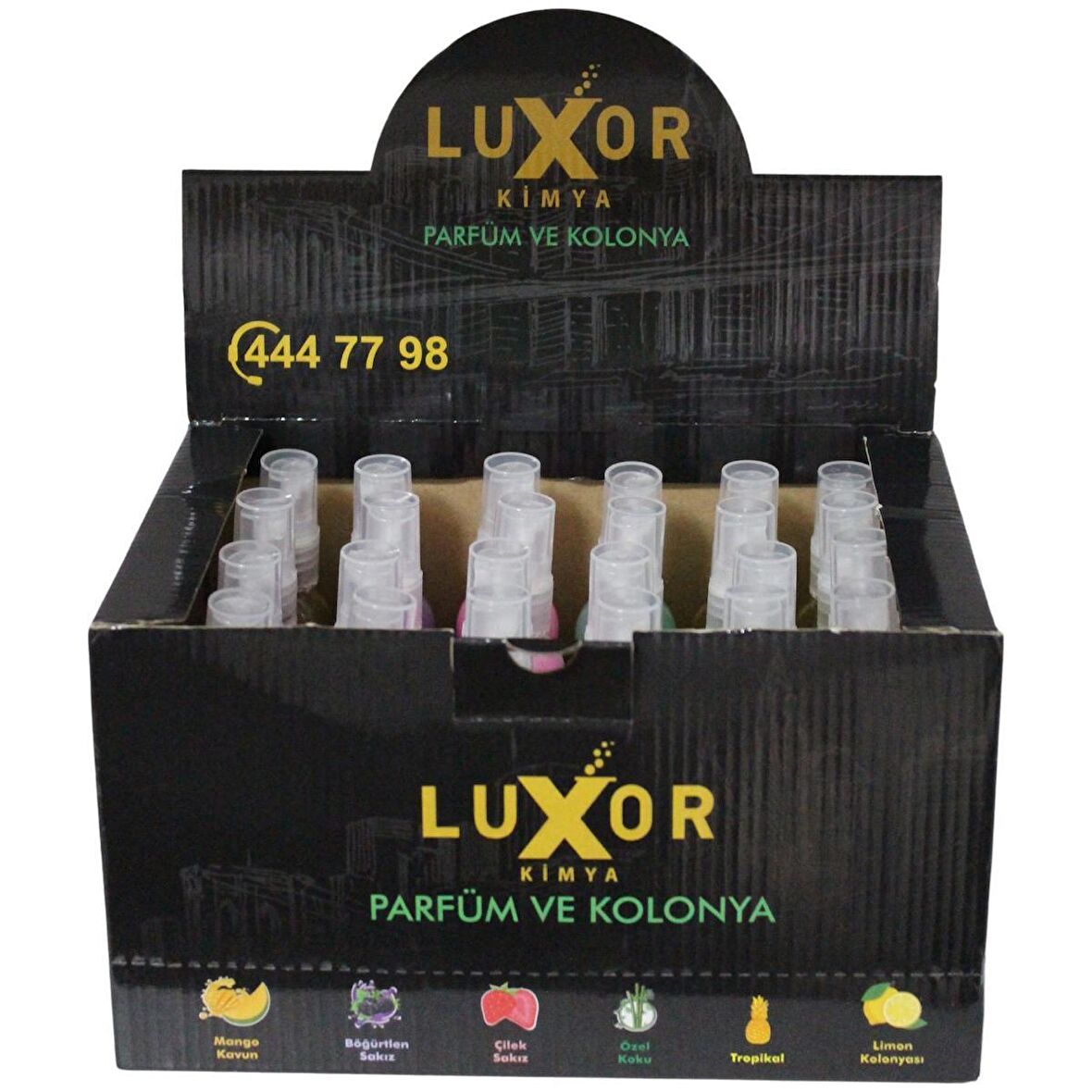 Luxor Kimya 12 Adet 200 Ml Ev & Oto Koku Seti Özel Kutulu