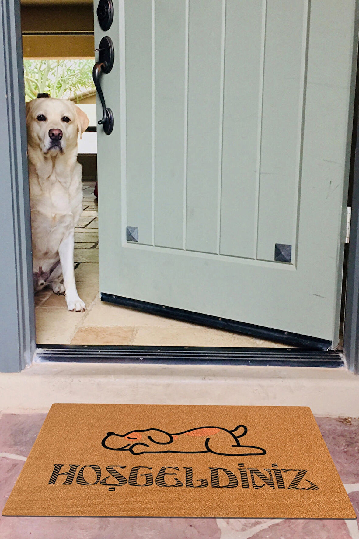 Hoşgeldiniz, Köpek Deseni, Uyuyan Köpek, Renkli Kapı Önü PASPASI, dikdörtgen paspas, çeyiz eşyası, ev hediyesi paspas