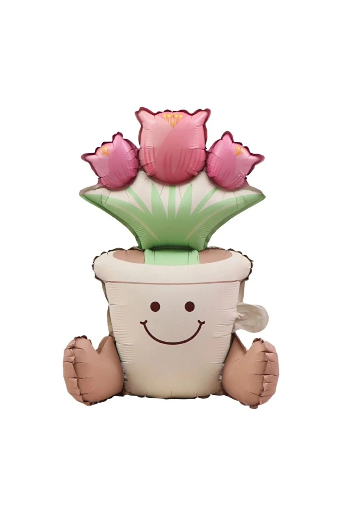 GÜLEN YÜZ SEVİMLİ KAKTÜS FOLYO BALON