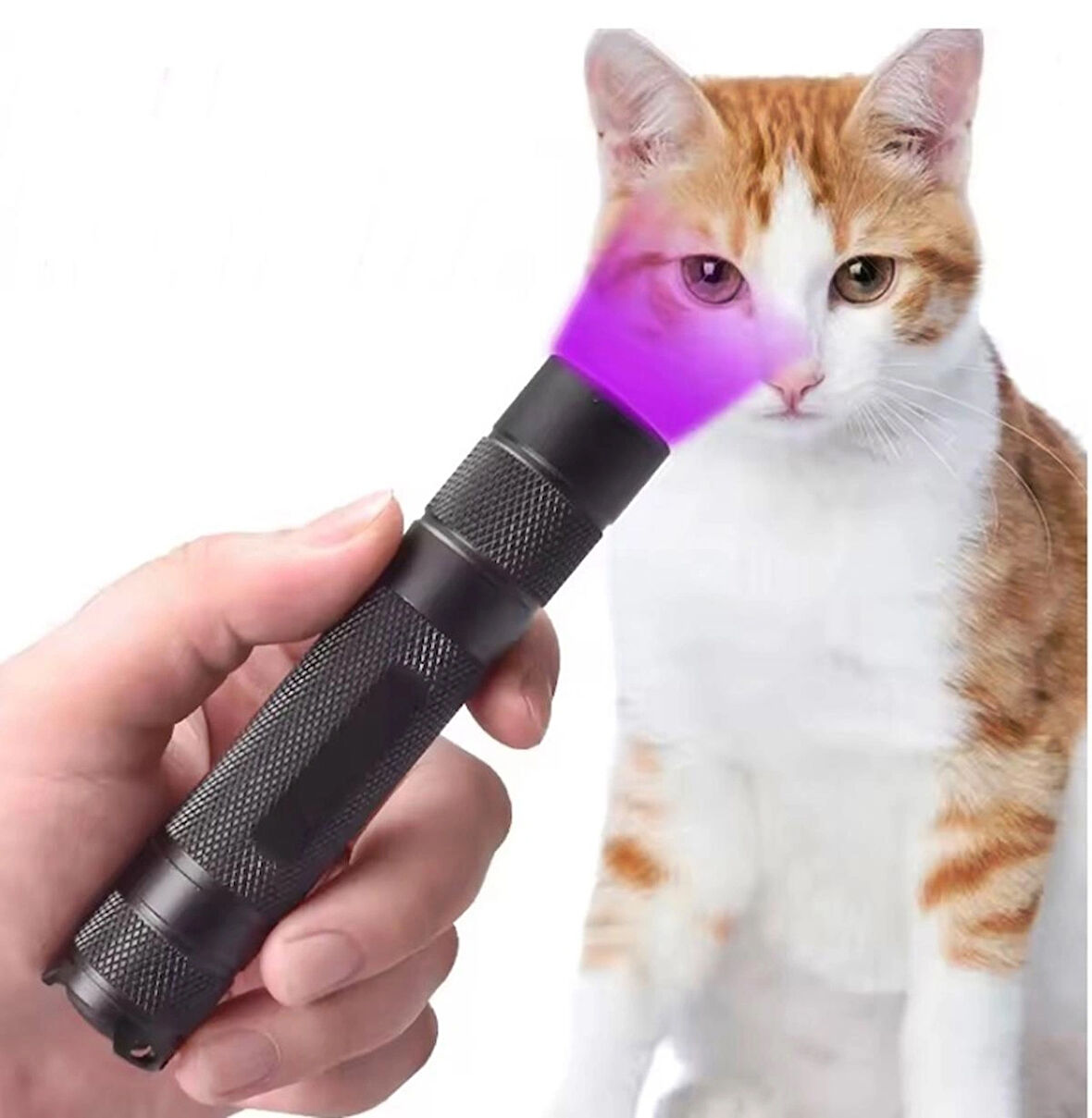 UV El Feneri 365 NM Dalga Boyu Doğal Taş Bakteri Ve Leke Tespiti Profesyonel Ultraviyole Aydınlatma