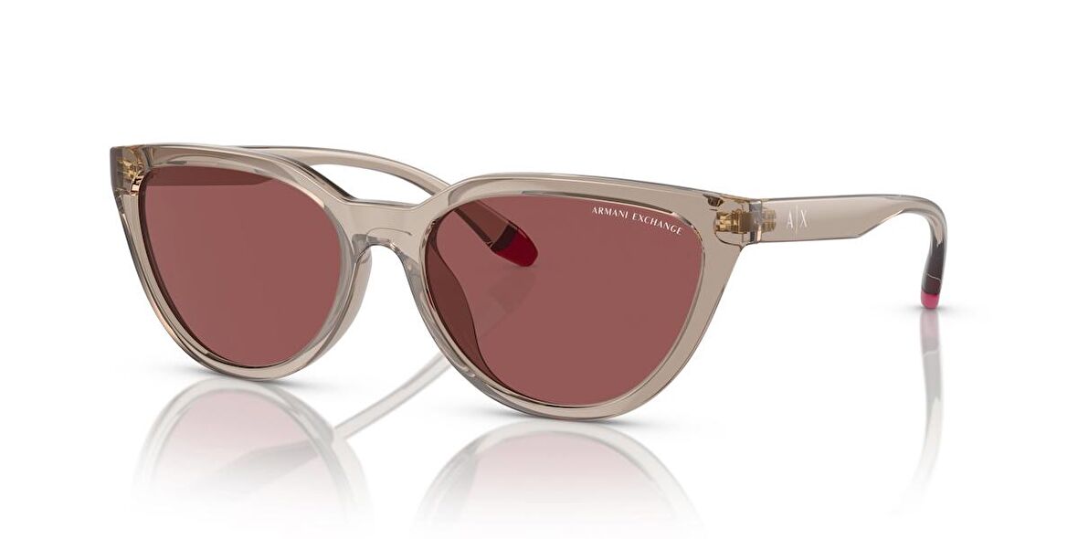 ARMANI EXCHANGE 4130SU 824069 56 KADIN GÜNEŞ GÖZLÜĞÜ