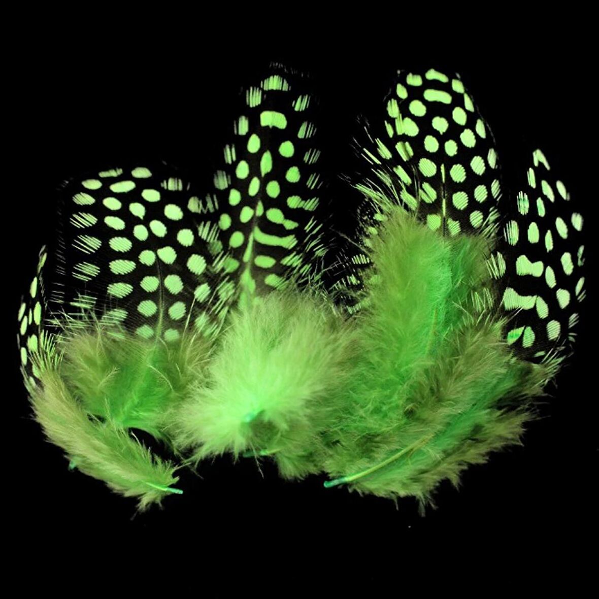 50 ADET PUANTİYELİ YEŞİL SİYAH KUŞ TÜYÜ YEŞİL KUŞ TÜYÜ DECOR GREEN BIRD FEATHER YEŞİL ŞEFFAF BALON TÜYÜ