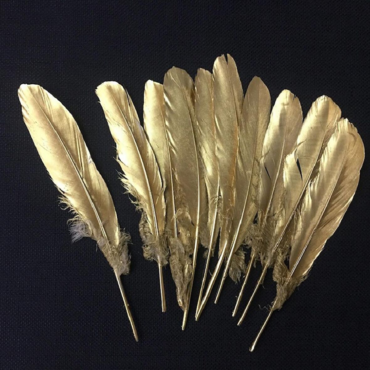 10 ADET METALİK PARLAK ALTIN KUŞ TÜYÜ ALTIN KUŞ TÜYÜ DECOR GOLD BIRD FEATHER ALTIN ŞEFFAF BALON TÜYÜ