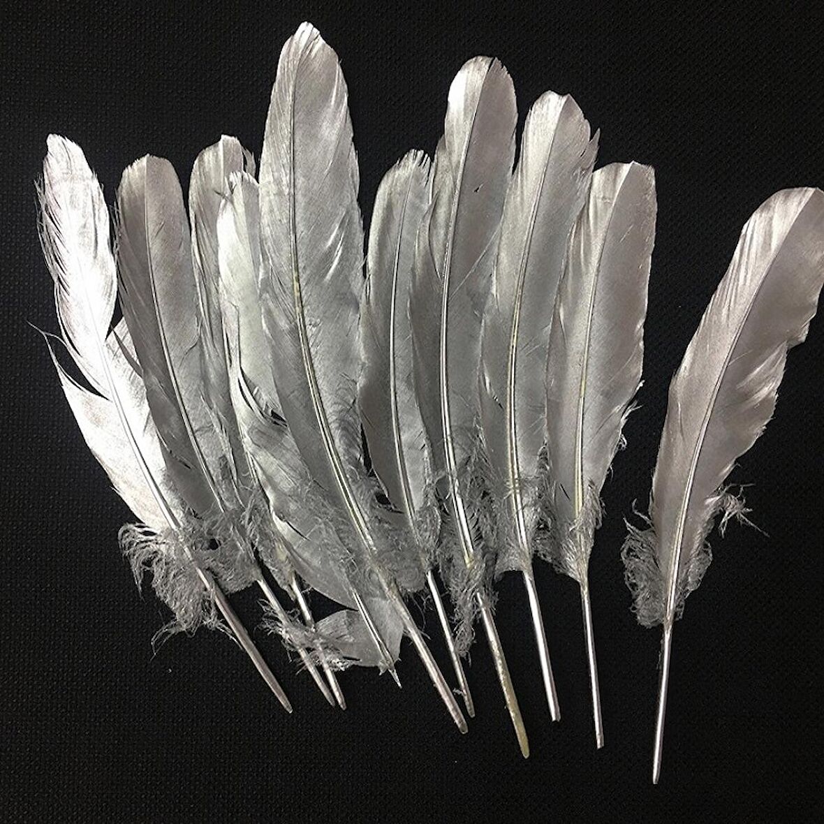 10 ADET METALİK PARLAK GÜMÜŞ KUŞ TÜYÜ GÜMÜŞ KUŞ TÜYÜ DECOR SİLVER BIRD FEATHER GÜMÜŞ ŞEFFAF BALON TÜYÜ