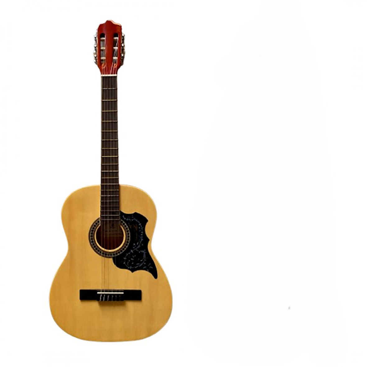 GRAPE 4/4 KLASİK GİTAR EC-309N